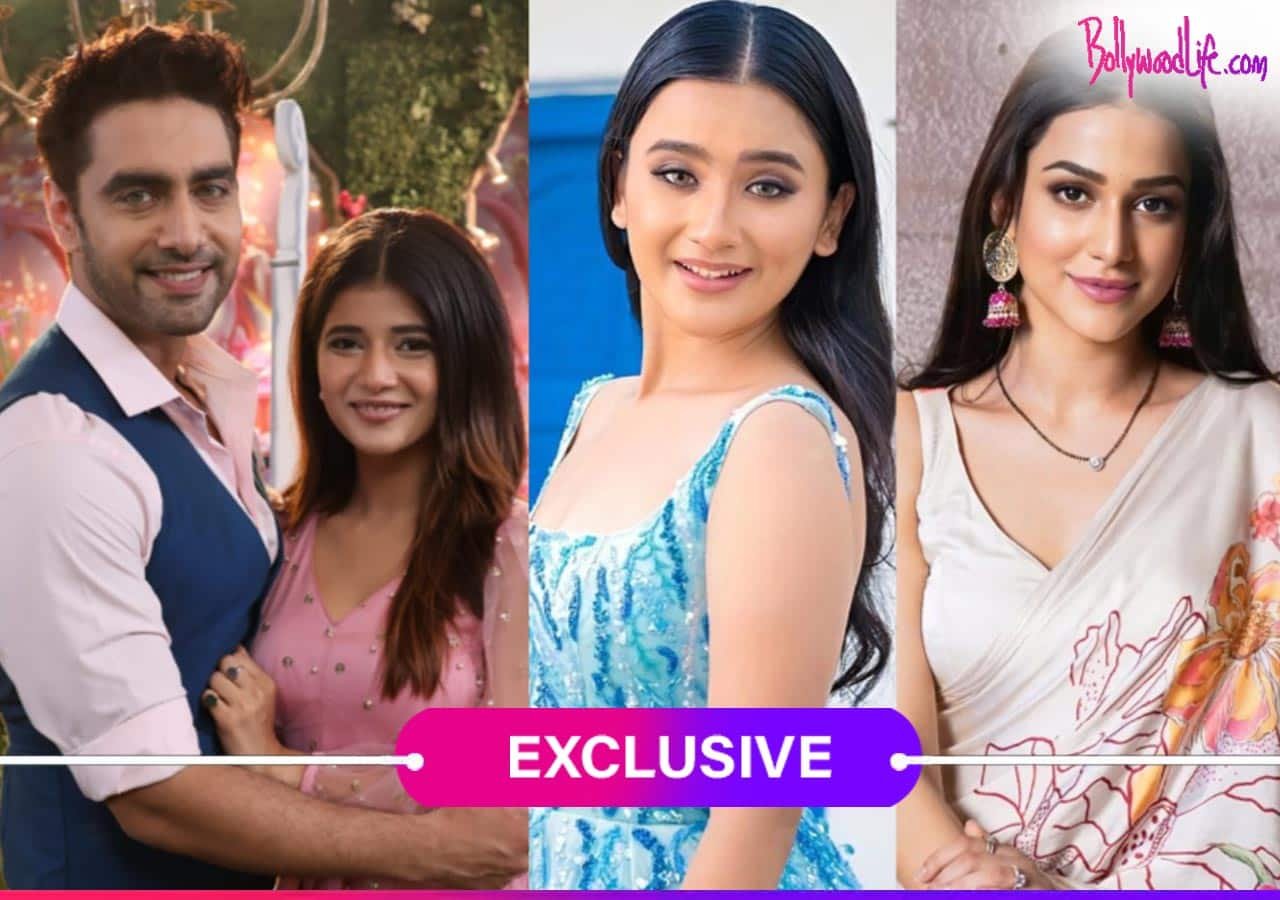 Independence Day 2024: Samridhii Shukla, Rohit Purohit, Celesti Bairagey and other TV stars reveal what freedom means to them [Exclusive]